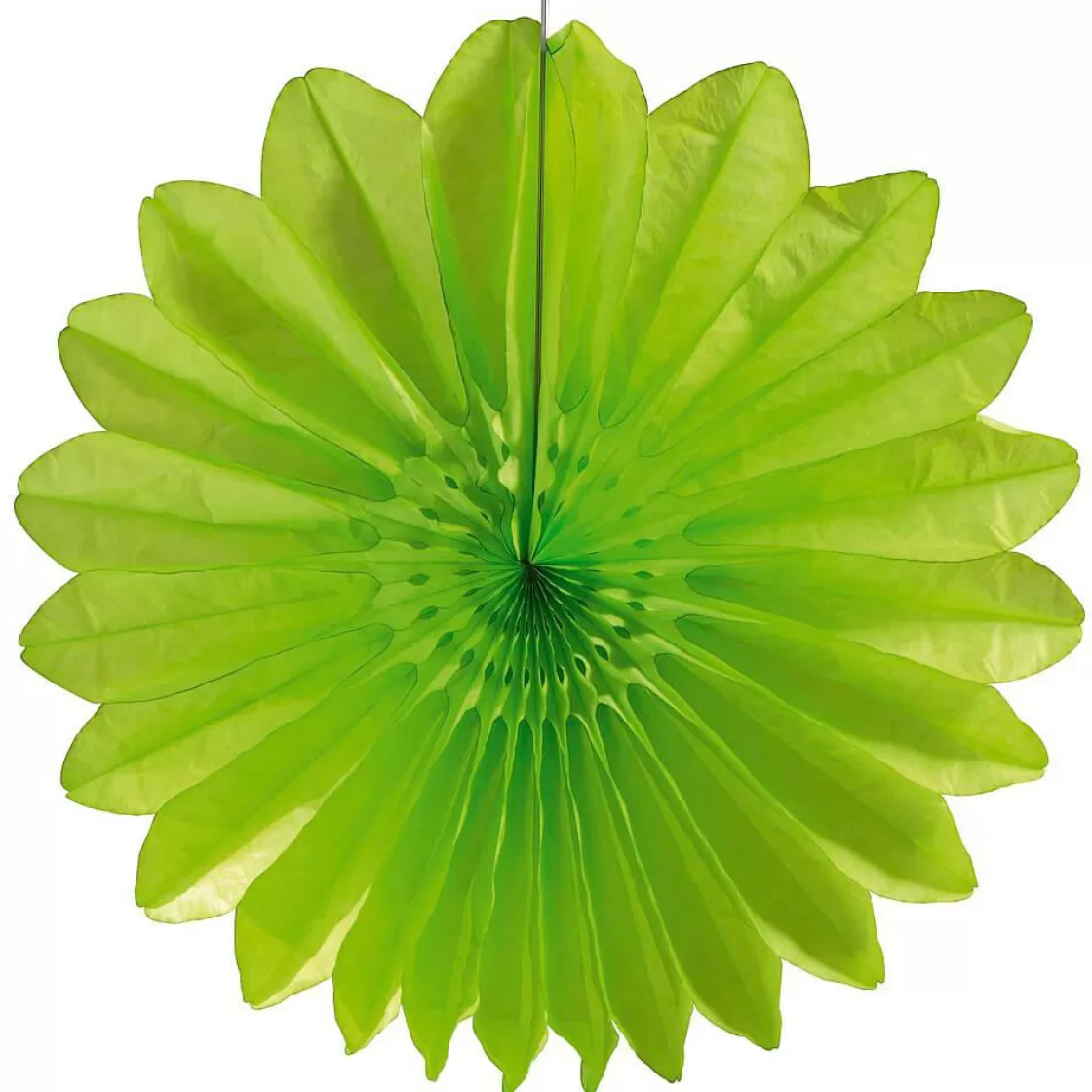 Decoración Temática>DecoWoerner Abanico Decorativo Ø 67 Cm Claro verde