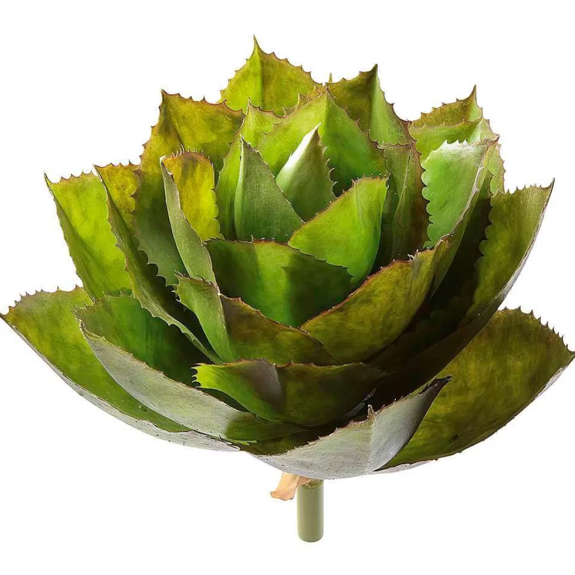 Plantas De Interior>DecoWoerner Agave Parryi Artificial Sin Maceta, 38 Cm Ø verde