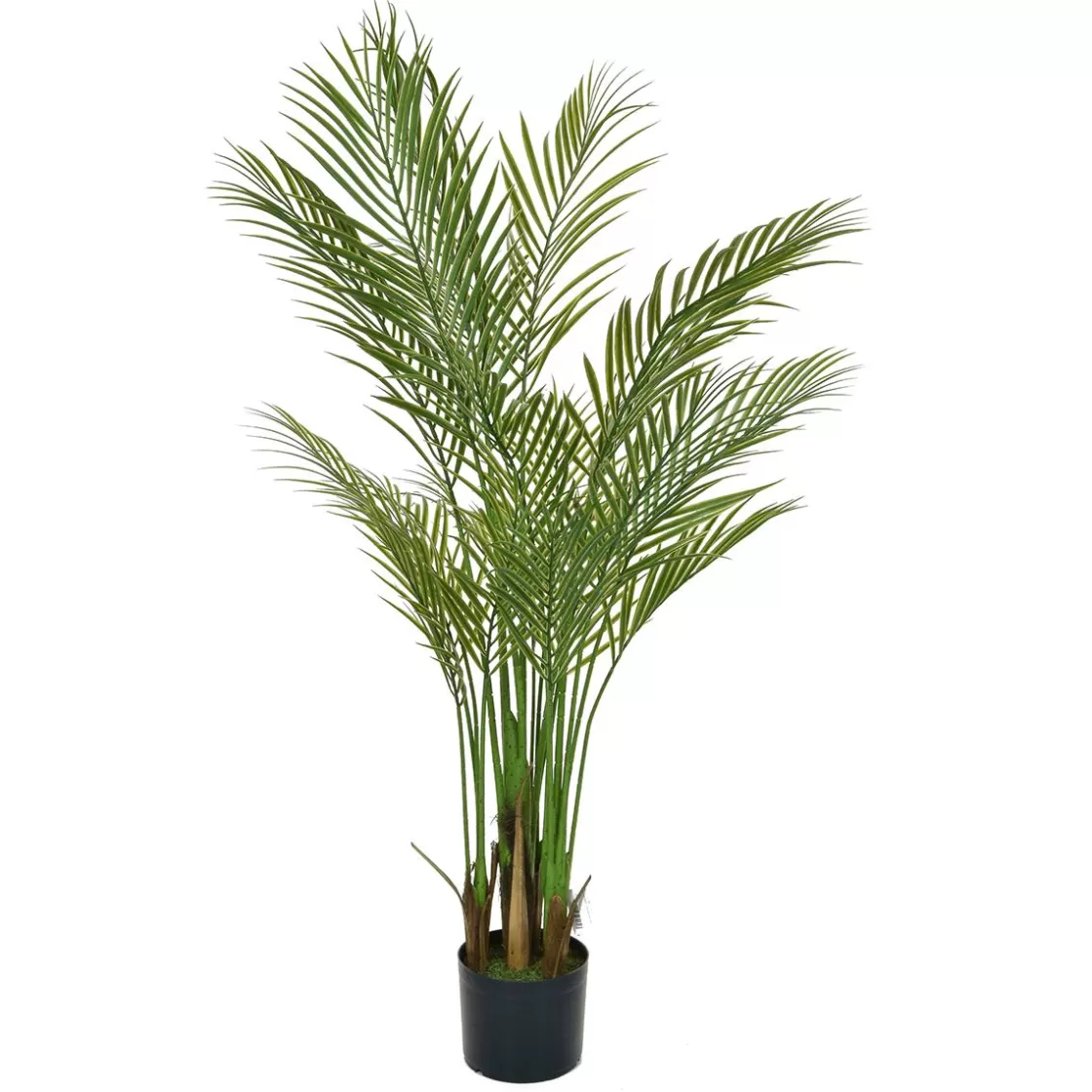 Árboles Artificiales | Plantas Artificiales Ignífugas>DecoWoerner Areca Artificial En Maceta Ignífuga 150 Cm verde