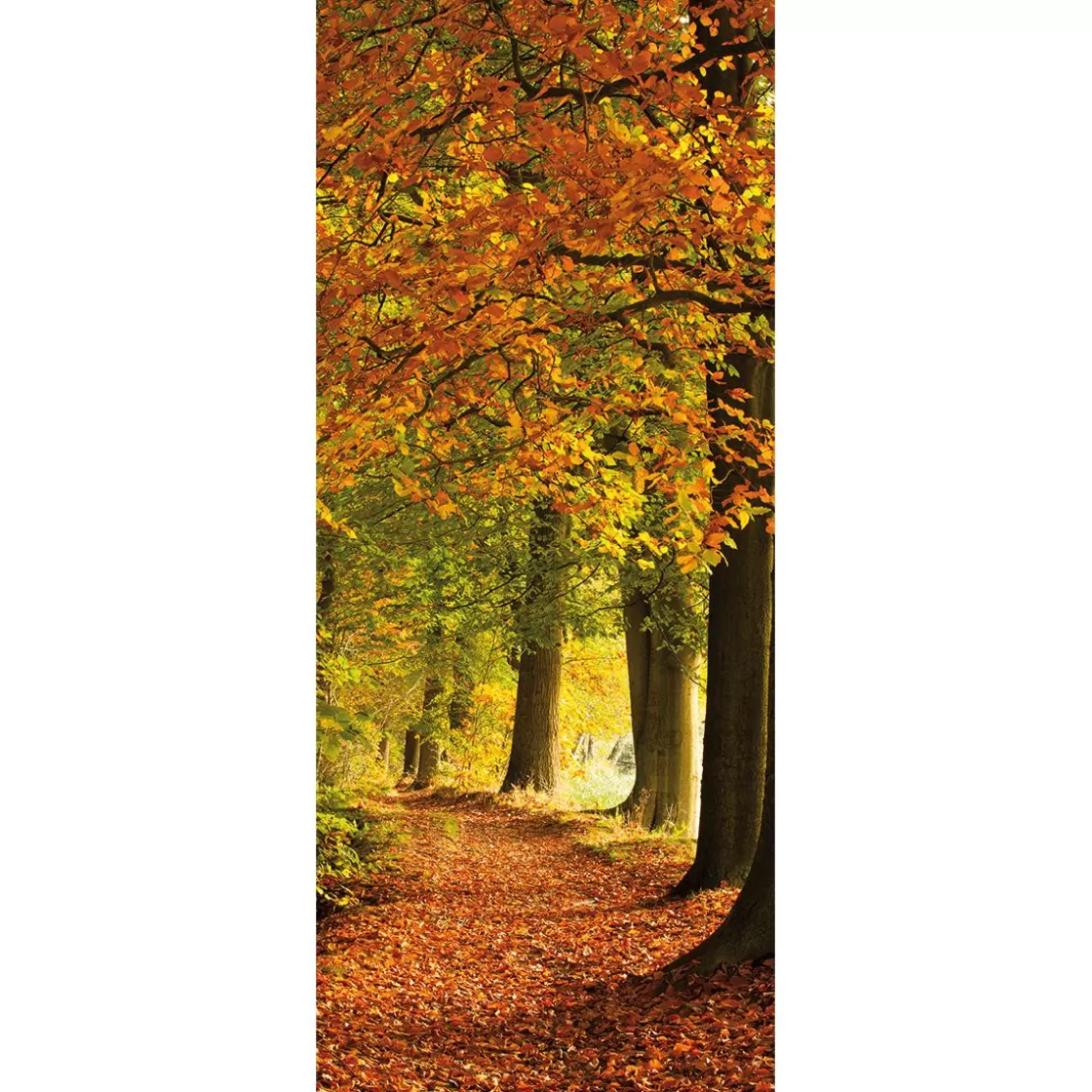 Pancartas De Otoño>DecoWoerner Bandera De Tela Ignífuga "Bosque De Otoño" 75 X 180 Cm naranja
