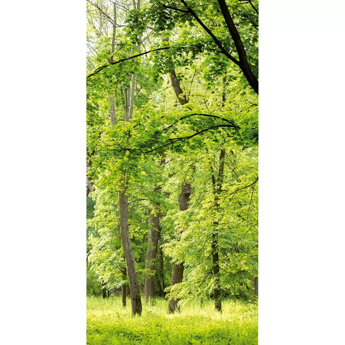 Decoración Natural | Decoración De Verano>DecoWoerner Bandera De Tela Ignífuga "Bosque De Primavera" De Tela De Bandera 100 X 200 Cm verde