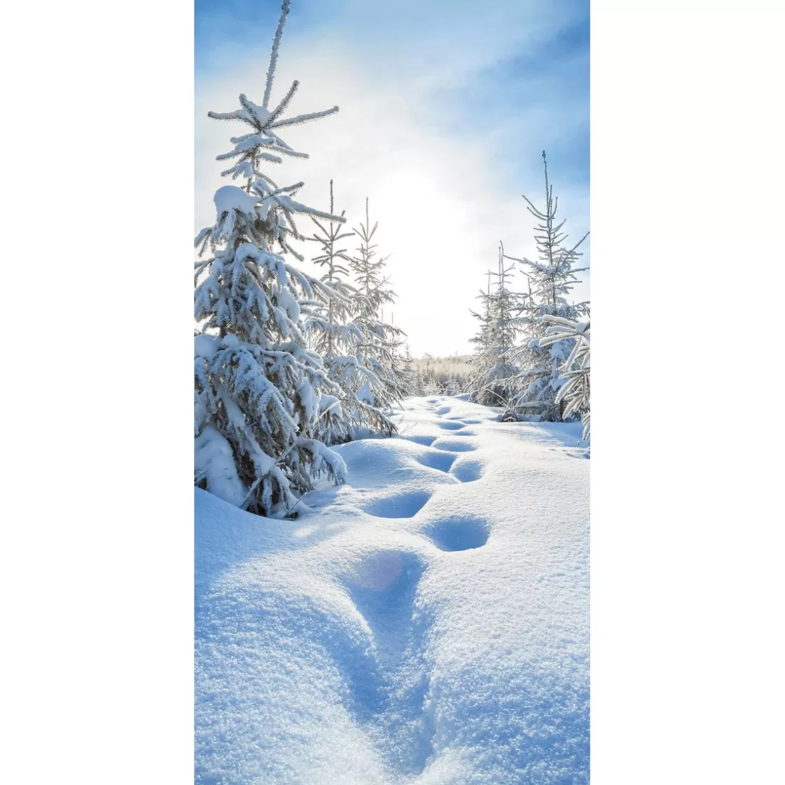 Pancartas De Navidad E Invierno>DecoWoerner Banderola De Tela Ignífuga "Bosque Nevado" De Tela De Bandera 100 X 200 Cm blanco