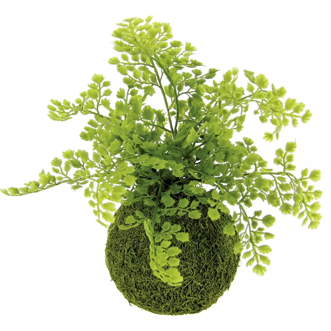 Plantas Verdes | Plantas De Interior>DecoWoerner Bola De Musgo Artificial Con Helecho Culantrillo 30 Cm verde