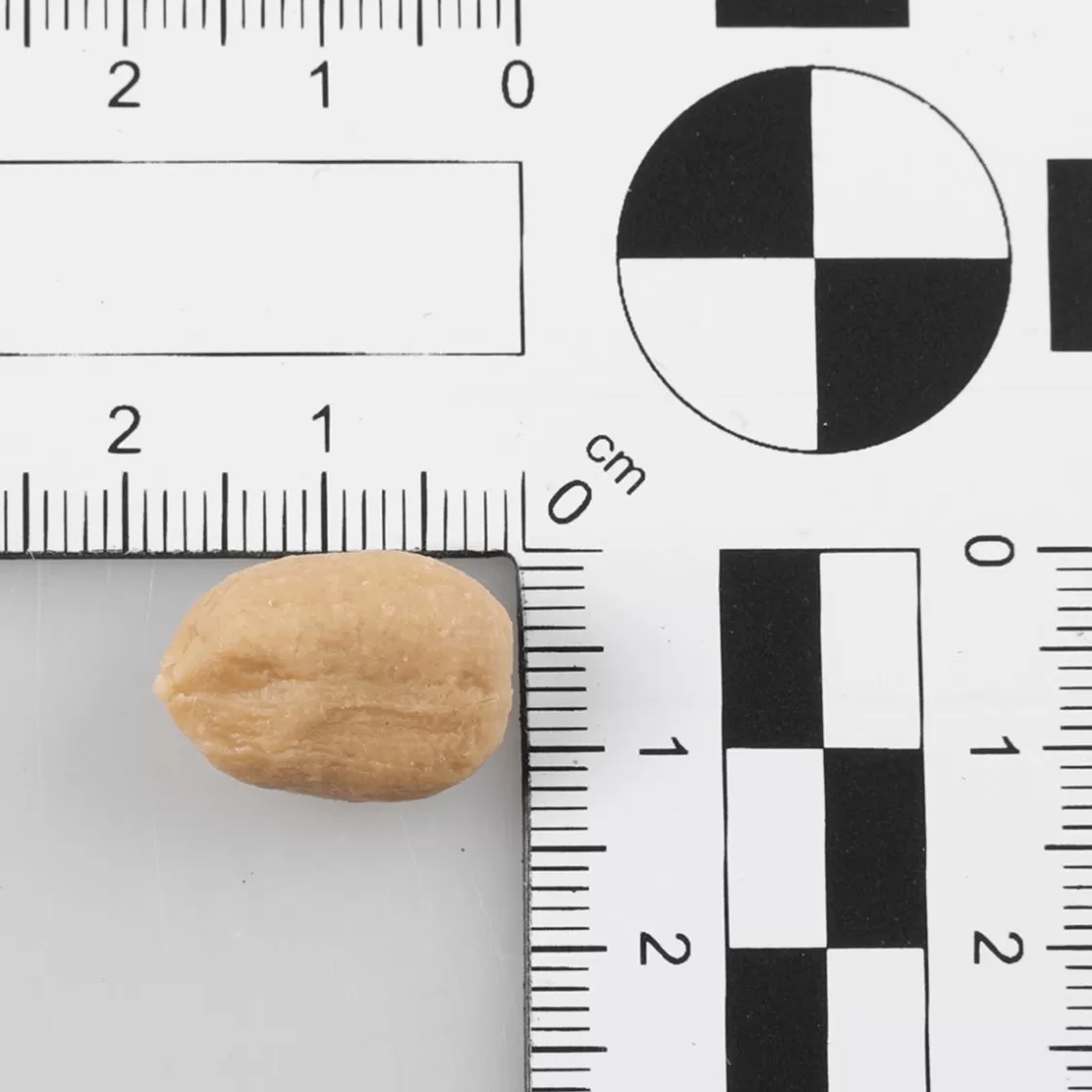 Frutas>DecoWoerner Cacahuetes Sin Cáscara -sujeción De Alimentos Bolsa De 50 G marrón
