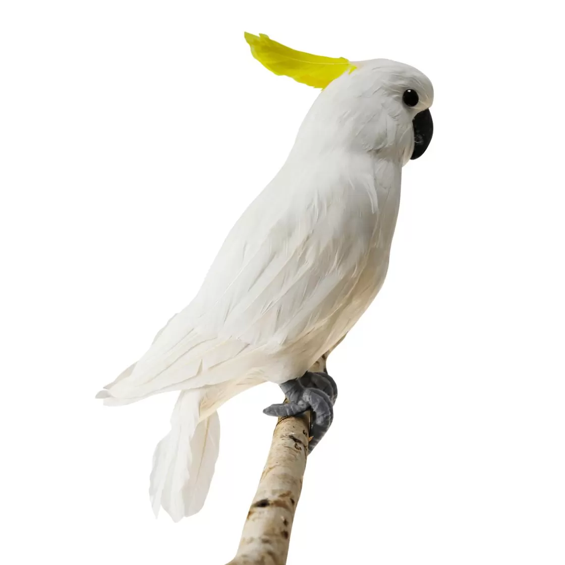 Decoración De Animales | Decoración De Verano>DecoWoerner Cacatúa Decorativa Sentada Blanca-amarilla, 40 Cm blanco