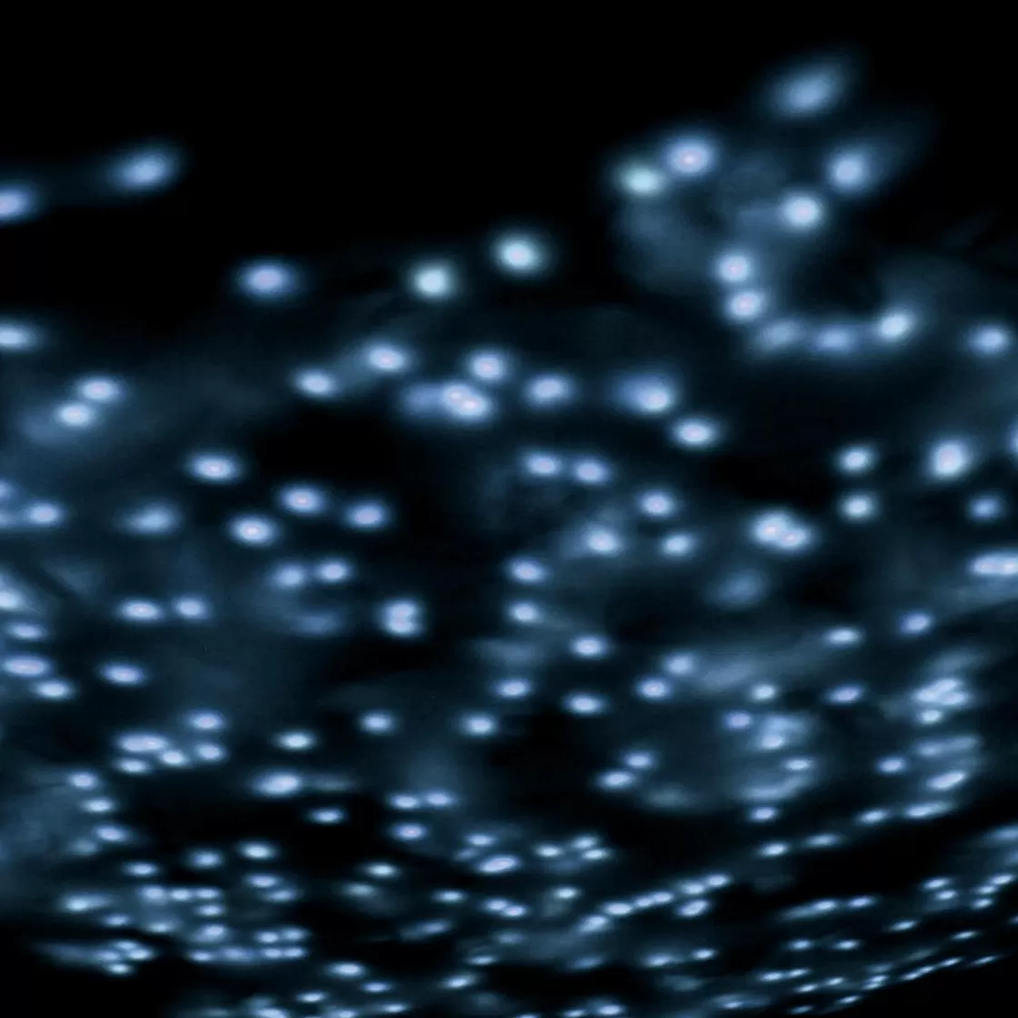 Luces De Navidad>DecoWoerner Cadena De Luces LED Con Temporizador, Para Exteriores, 6 M