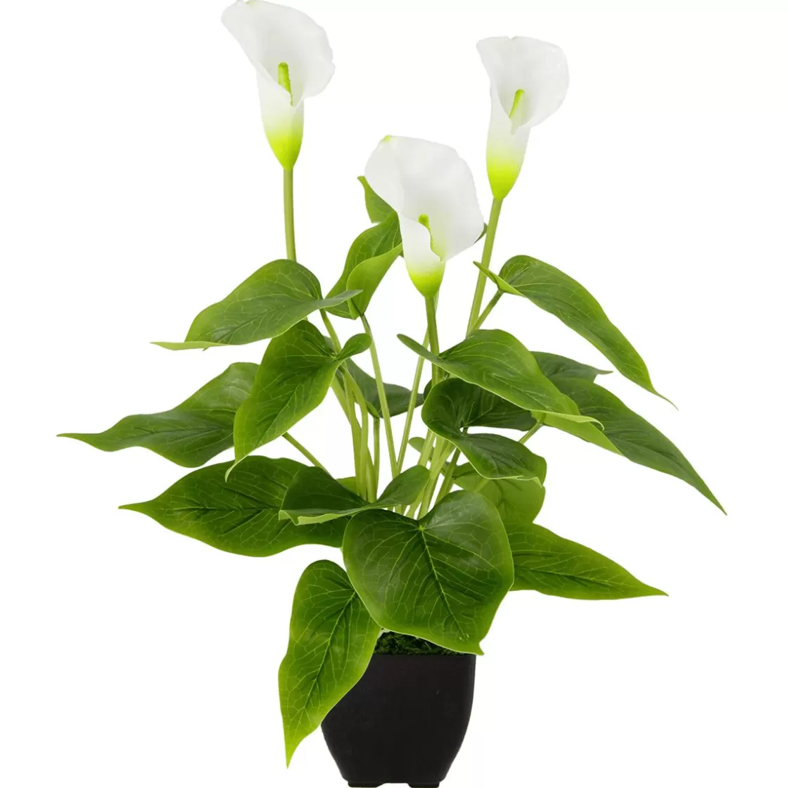 Plantas De Interior | Flores Artificiales>DecoWoerner Calla Planta Artificial Blanca 40 Cm En Maceta blanco