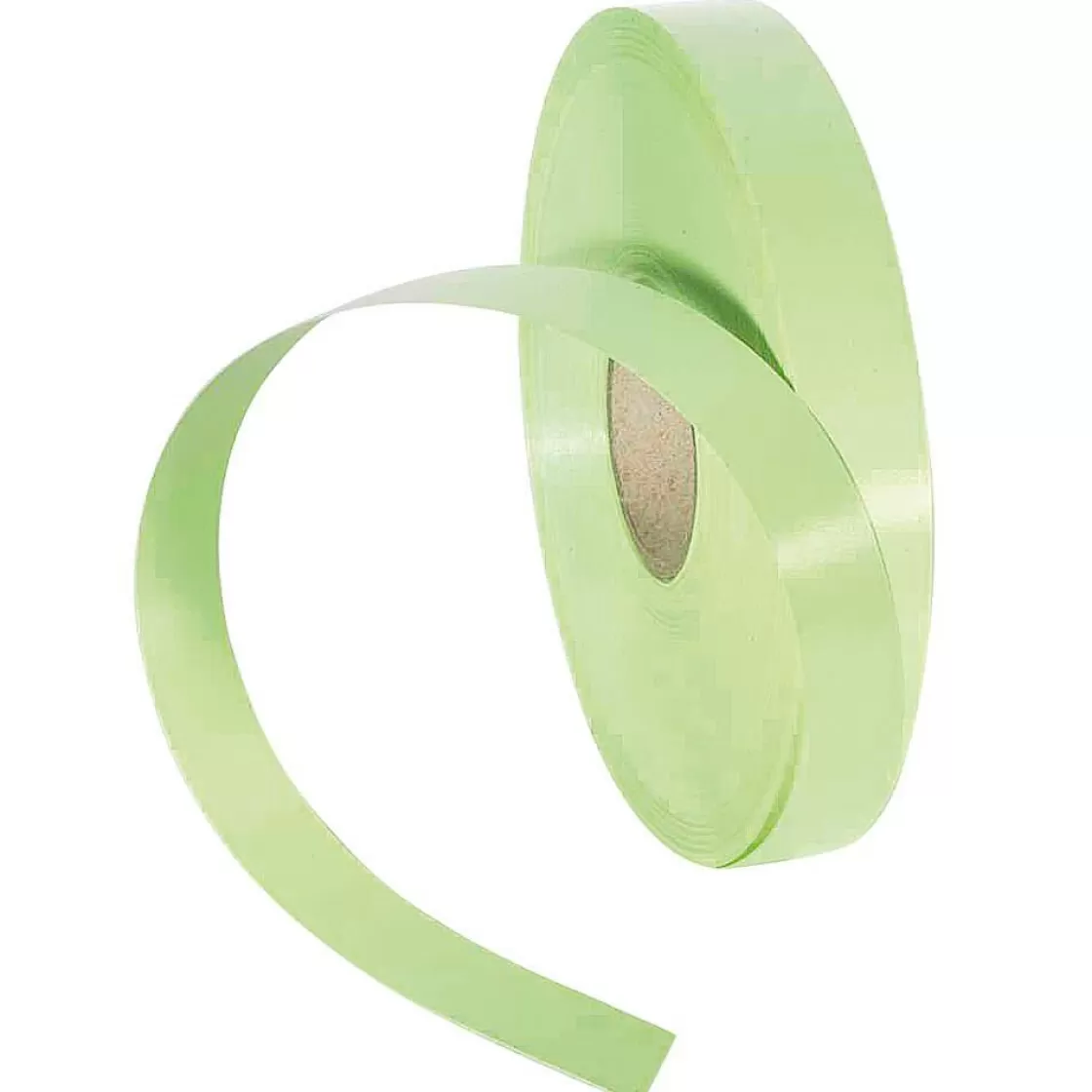 Cintas De Regalo>DecoWoerner Cinta De Poliéster, Anchura De 19 Mm, Blanca verde