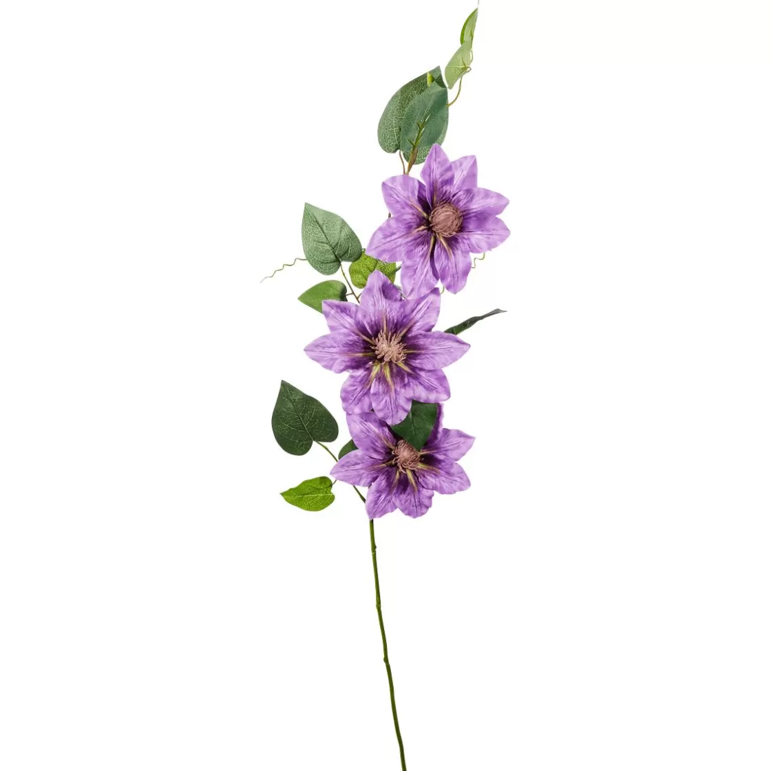 Ramas Y Ramitas>DecoWoerner Clematizador Artificial Twig Púrpura 15 X 7 X 80 Cm violeta