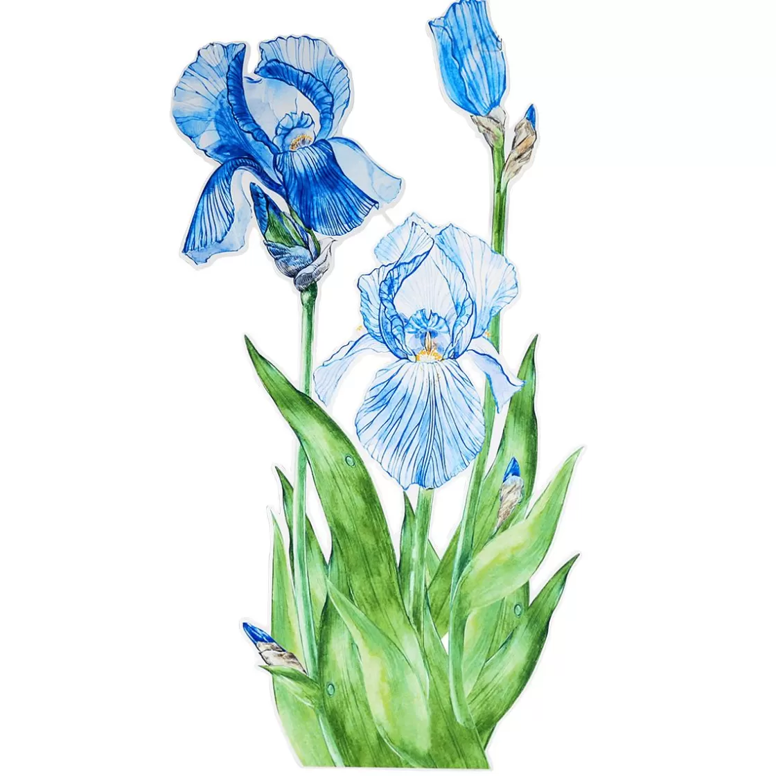 Decoración De Primavera>DecoWoerner Colgante De Exposición "Iris" Anchura 110 Cm azul