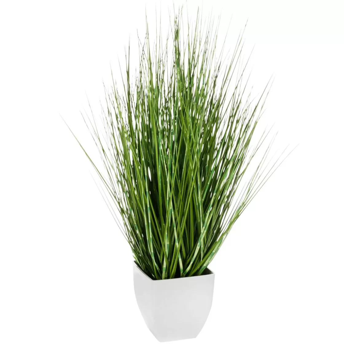 Plantas De Interior | Hierba Decorativa>DecoWoerner Deco Hierba Cebra En Maceta Blanca 78 Cm verde