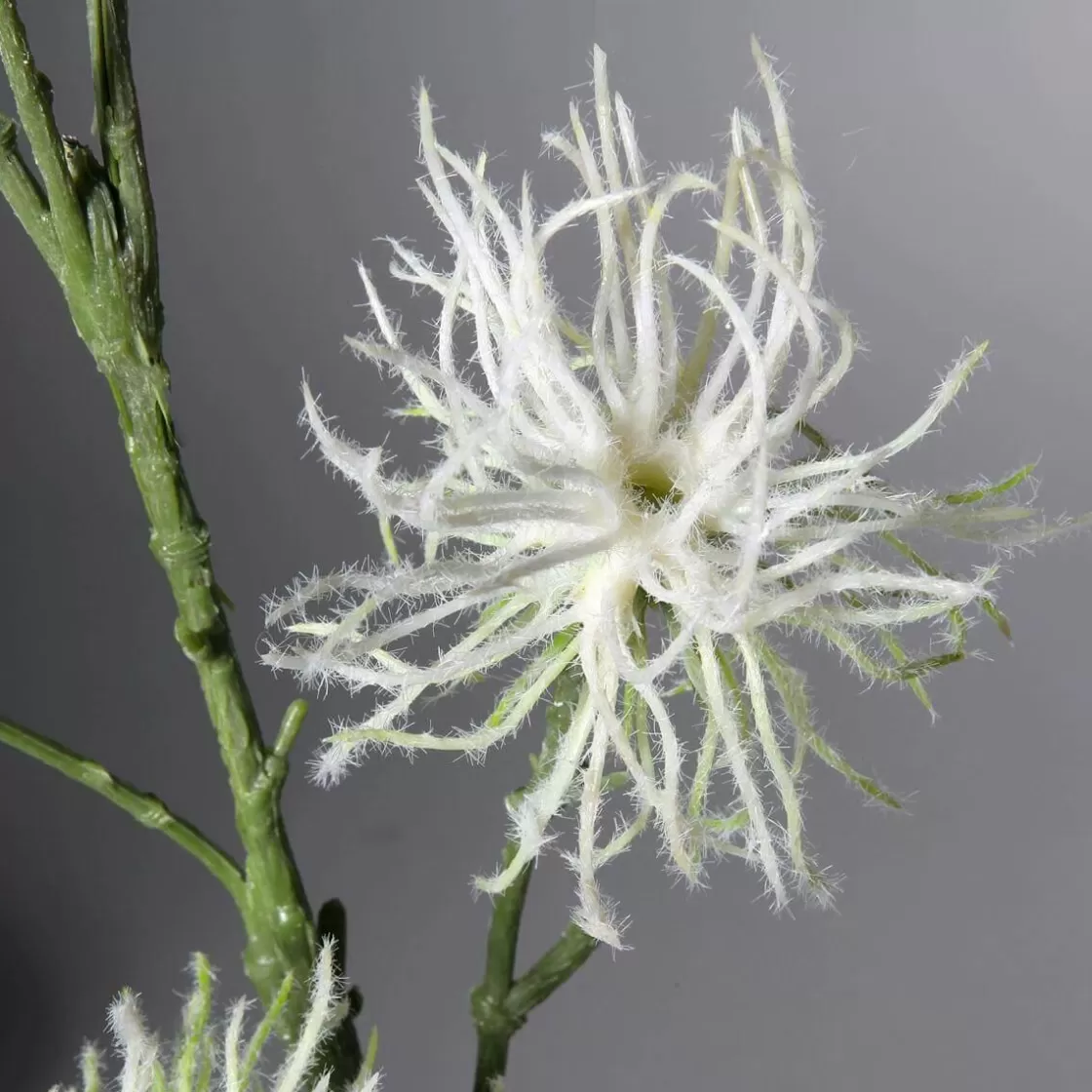 Ramas Y Ramitas>DecoWoerner Decoración Del Puesto De Frutas "Wild Vine 87 Cm blanco