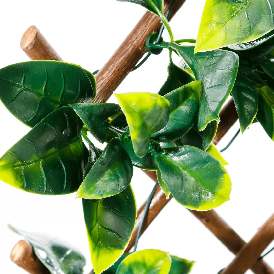 Paredes De Plantas>DecoWoerner Elemento De Valla De Privacidad Con Hojas s Artificiales, Extensible Hasta 200 Cm verde