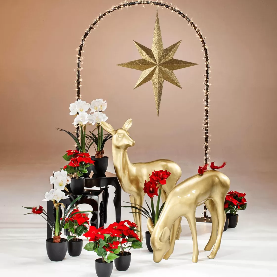 Estrella De Navidad>DecoWoerner Estrella Decorativa XXL 80 Cm oro
