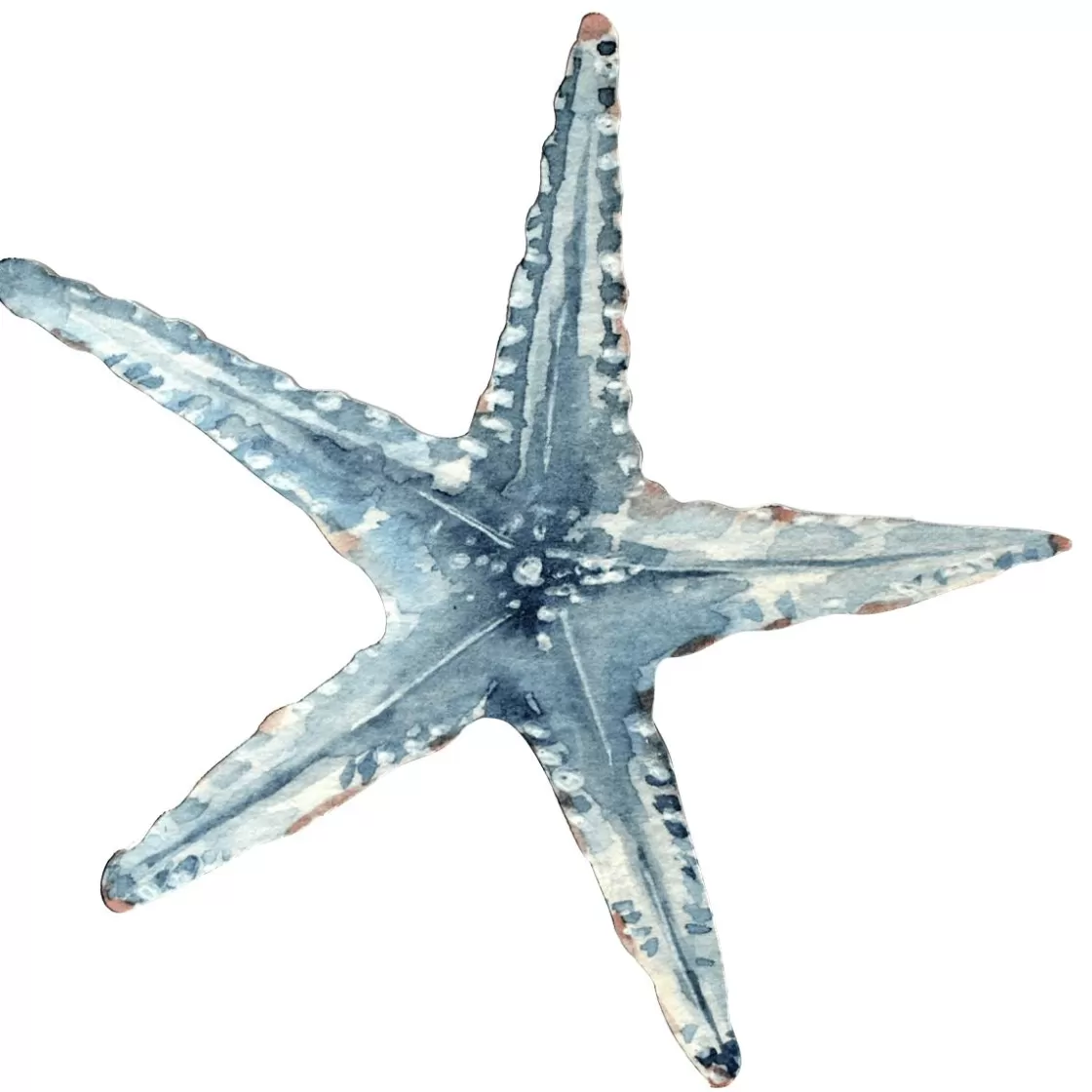 Decoración De Verano>DecoWoerner Expositor Estrella De Mar, 35 X 33 Cm azul