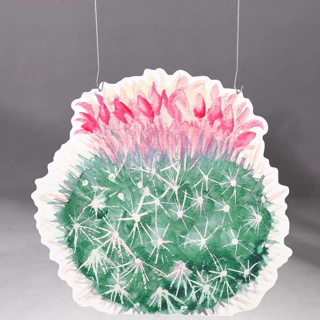 Decoración De Verano>DecoWoerner Expositor Para Colgar "Echinocactus" Fucsia rosa