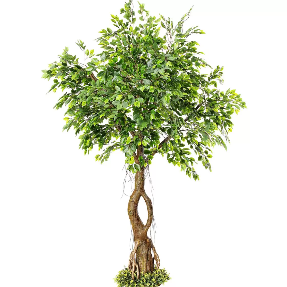 Decoración De Verano | Decoración De Primavera>DecoWoerner Ficus Artificial Con Pie 245 Cm verde