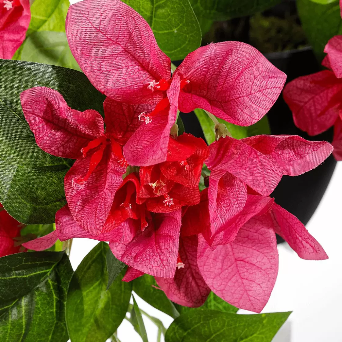 Plantas De Interior>DecoWoerner Flor Artificial Colgante Bougainvillea En Maceta 60 Cm rosa