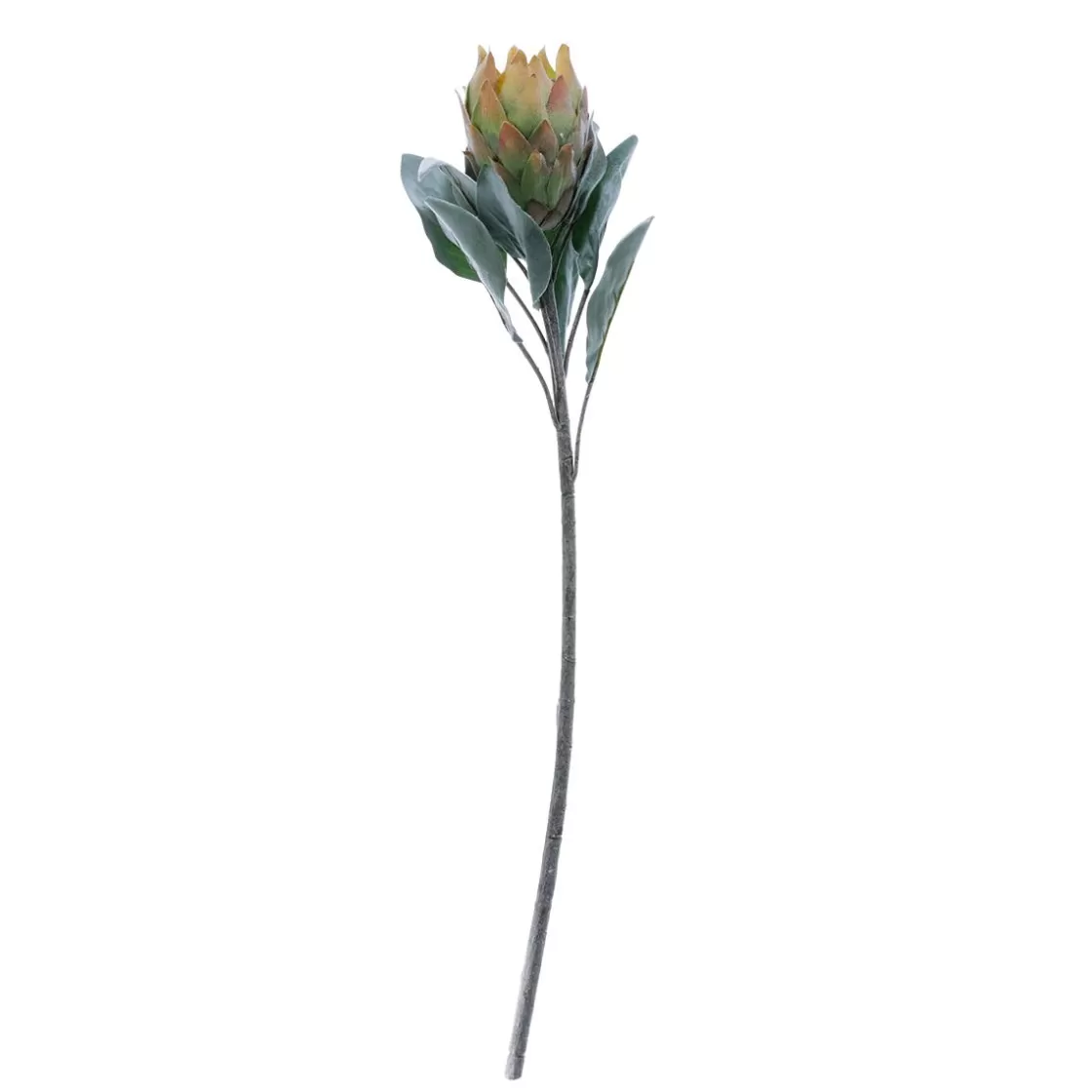 Decoración De Otoño | Flores Artificiales>DecoWoerner Flor Artificial Protea , 72 Cm verde