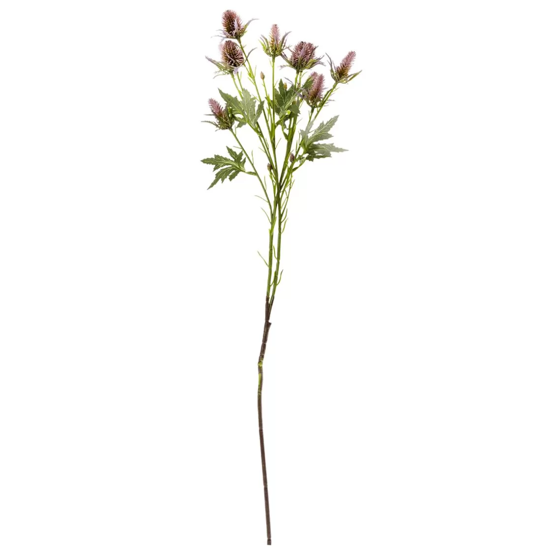 Decoración De Otoño | Flores Artificiales>DecoWoerner Flor Artificial Rama De Cardo Púrpura, 68 Cm De Largo violeta