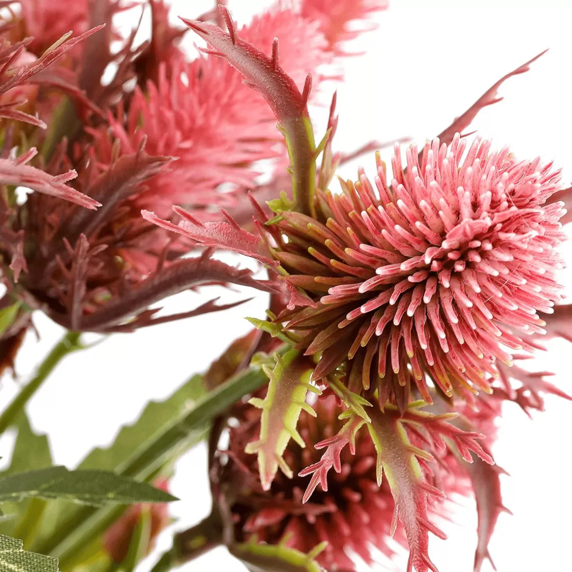 Decoración De Otoño | Flores Artificiales>DecoWoerner Flor Artificial Rama De Cardo , 68 Cm De Largo rojo