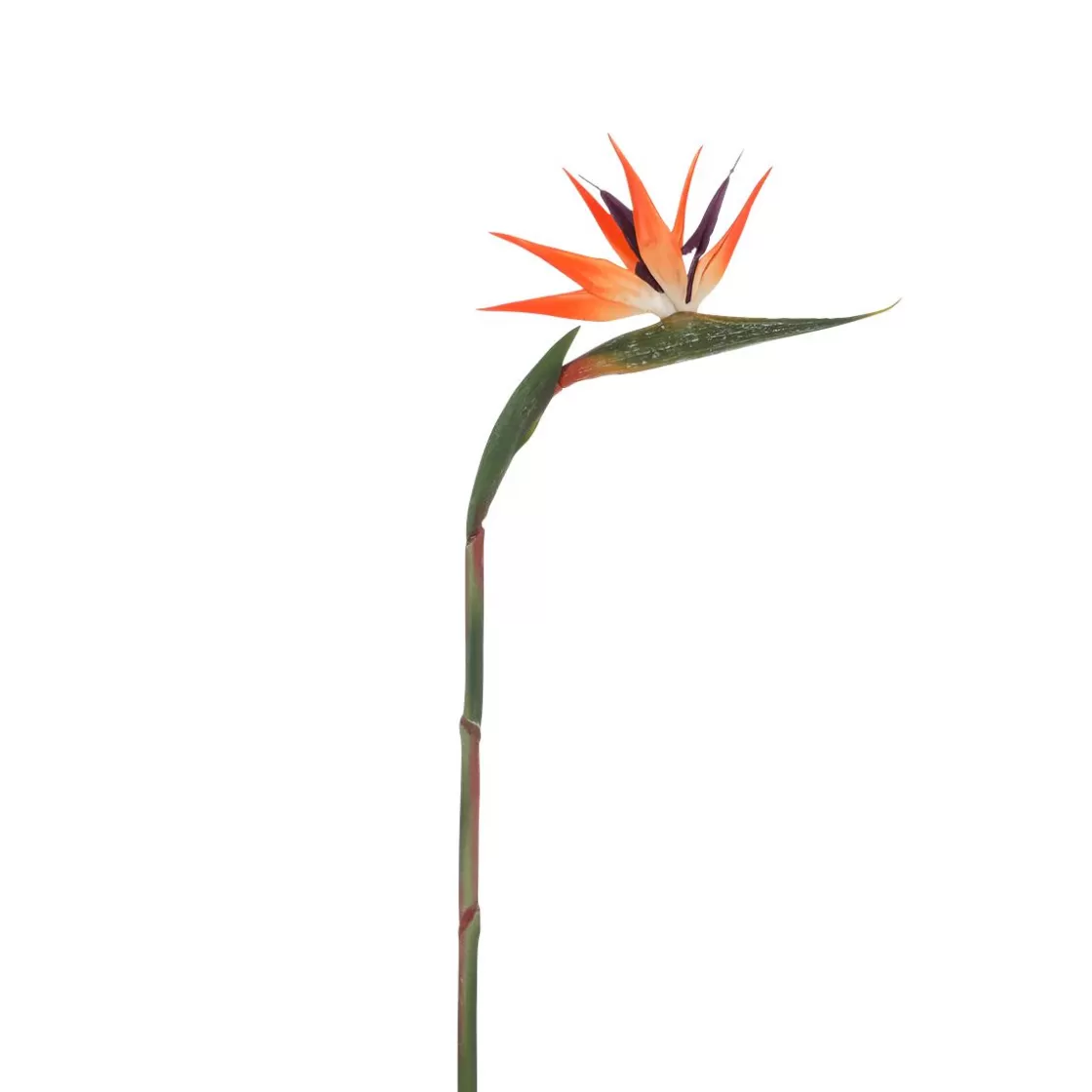 Decoración De Verano | Plantas De Interior>DecoWoerner Flor Artificial Strelizias Ave Del Paraíso 14 X 84 Cm naranja