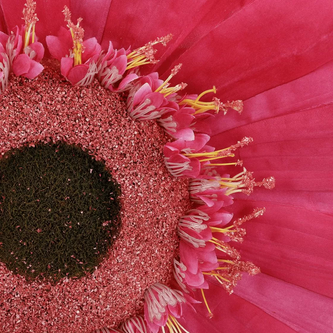 Decoración De Primavera | Cabezas De Flores Artificiales>DecoWoerner Flor De Gerbera Gigante Artificial, Ø 45 Cm, Color Fucsia rosa