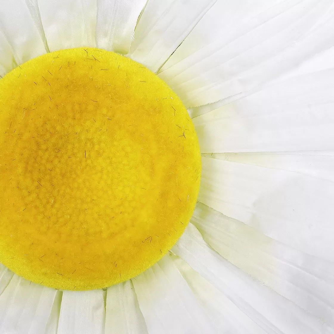 Decoración De Primavera | Cabezas De Flores Artificiales>DecoWoerner Flor De Margarita Gigante Blanca, Ø 55 Cm blanco