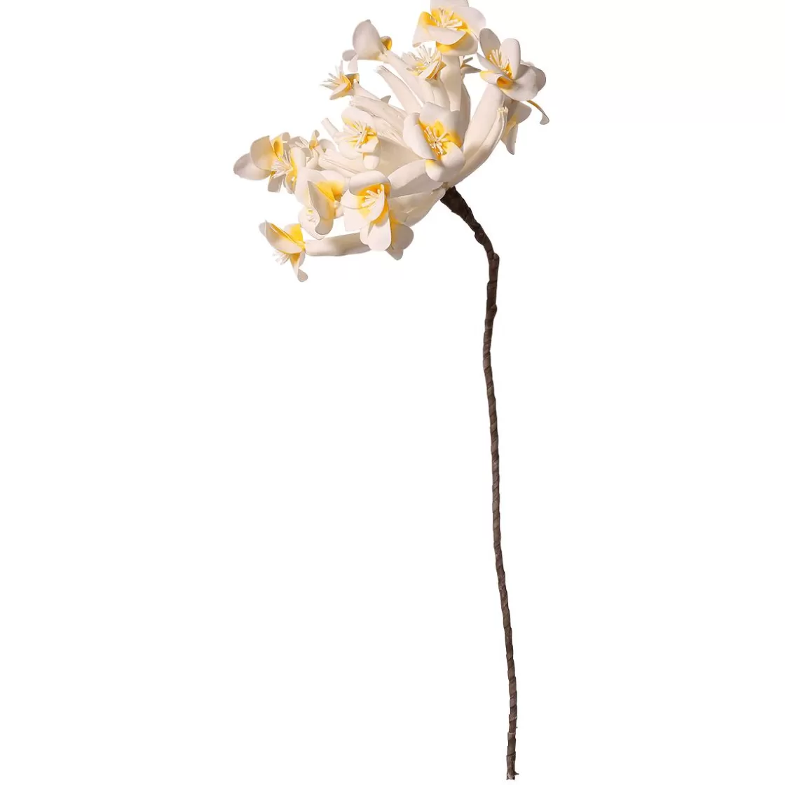 Decoración De Primavera | Flores Artificiales>DecoWoerner Flor De Plástico Frangipani 85 Cm blanco