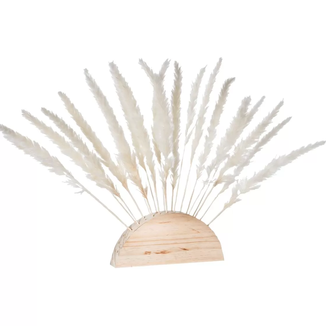 Decoración Natural | Decoración De Otoño>DecoWoerner Fronda De Hierba De La Pampa Blanca Al Palo 45 Cm blanco
