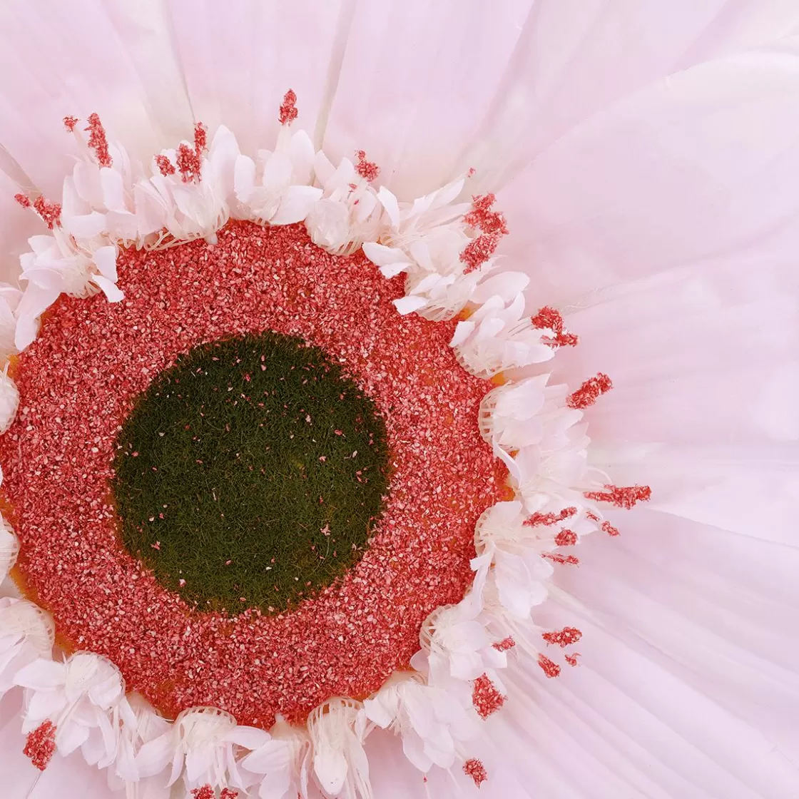 Decoración De Primavera | Cabezas De Flores Artificiales>DecoWoerner Gerbera Gigante, 45 Cm Ø, rosa