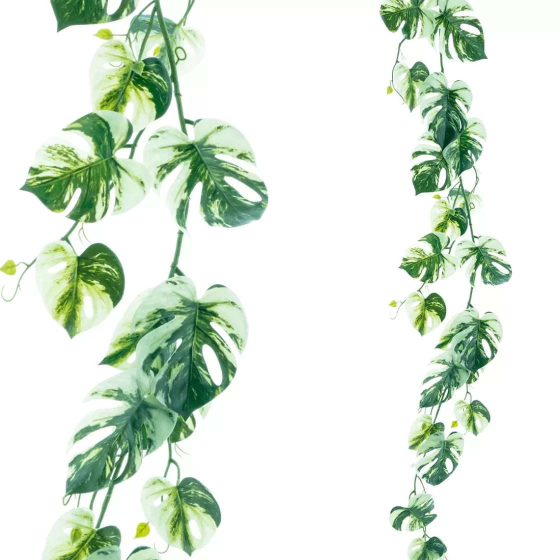 Decoración De Verano | Guirnaldas Y Vides>DecoWoerner Guirnalda Artificial De Philoranke Variegata Monstera De 180 Cm verde