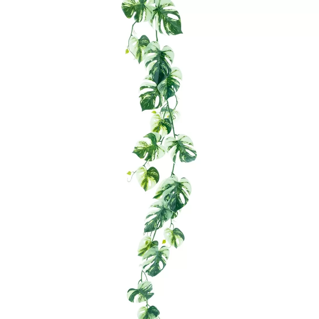 Decoración De Verano | Guirnaldas Y Vides>DecoWoerner Guirnalda Artificial De Philoranke Variegata Monstera De 180 Cm verde