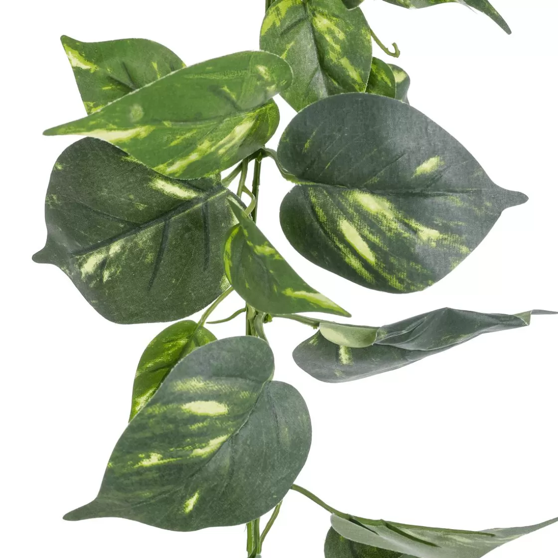 Guirnaldas Y Vides>DecoWoerner Guirnalda Artificial De Pothos 220 Cm verde