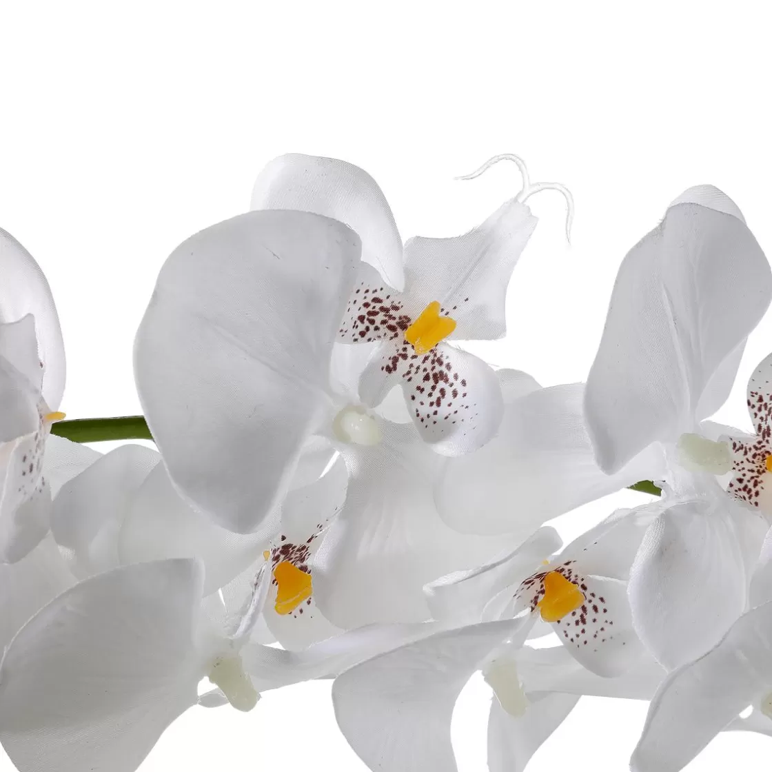 Guirnaldas Y Vides | Flores Artificiales>DecoWoerner Guirnalda De Orquídeas Artificiales Blancas 175 Cm blanco