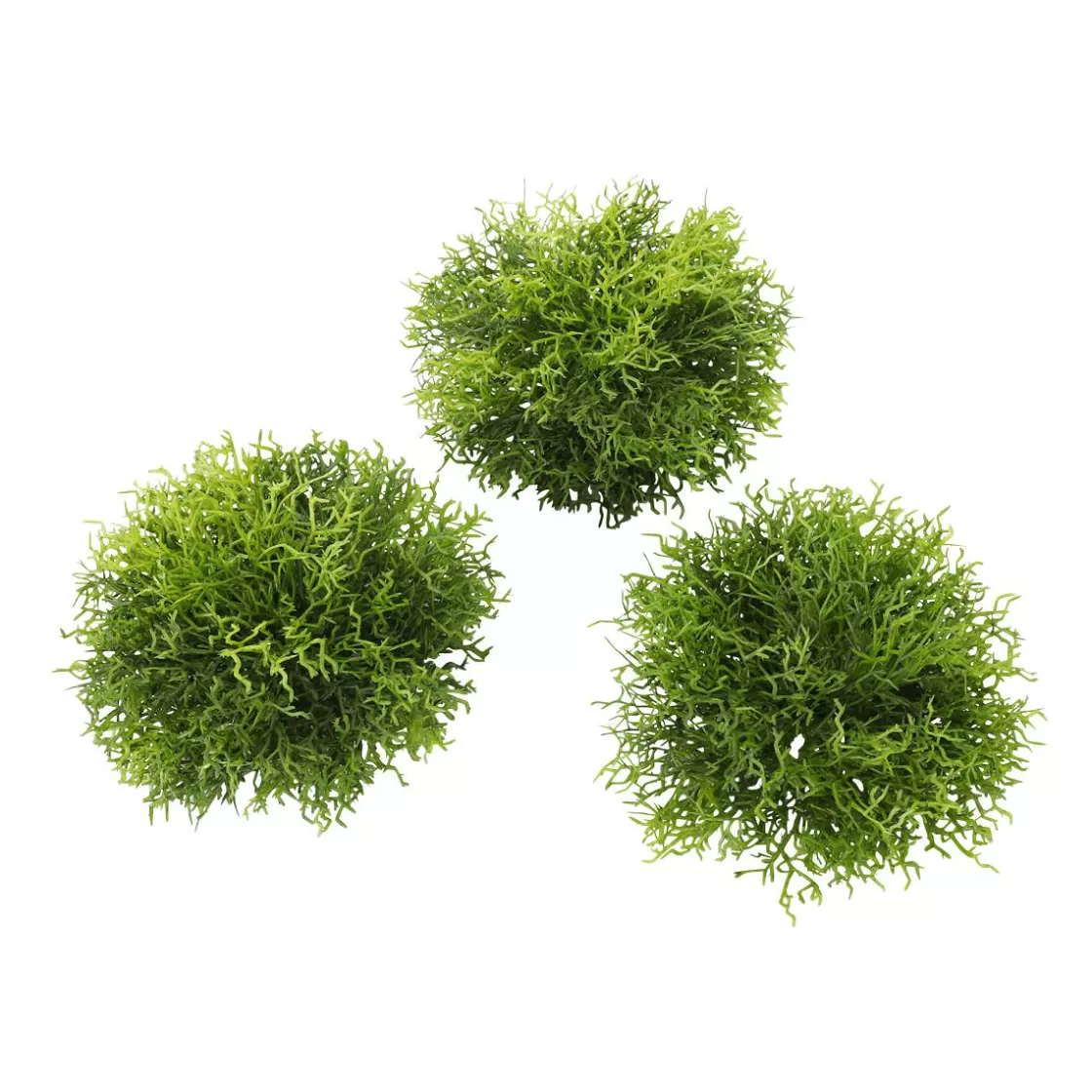 Decoración De Primavera | Plantas Verdes>DecoWoerner Hemisferios De Musgo Artificial Paquete 3 Piezas verde