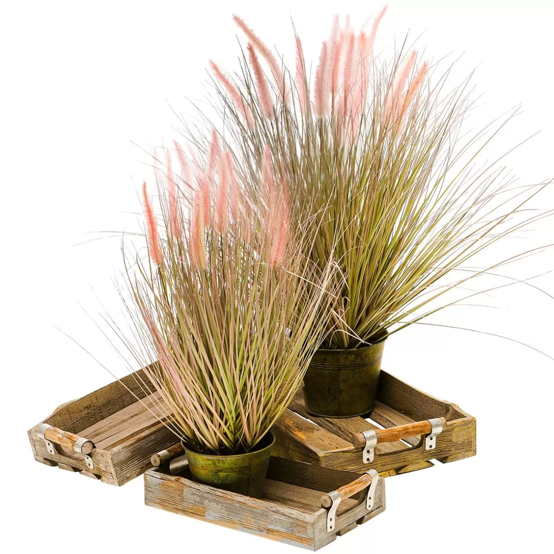 Hierba Decorativa>DecoWoerner Hierba Cola De Zorro En Una Maceta De Zinc De 70 Cm De Altura rosa