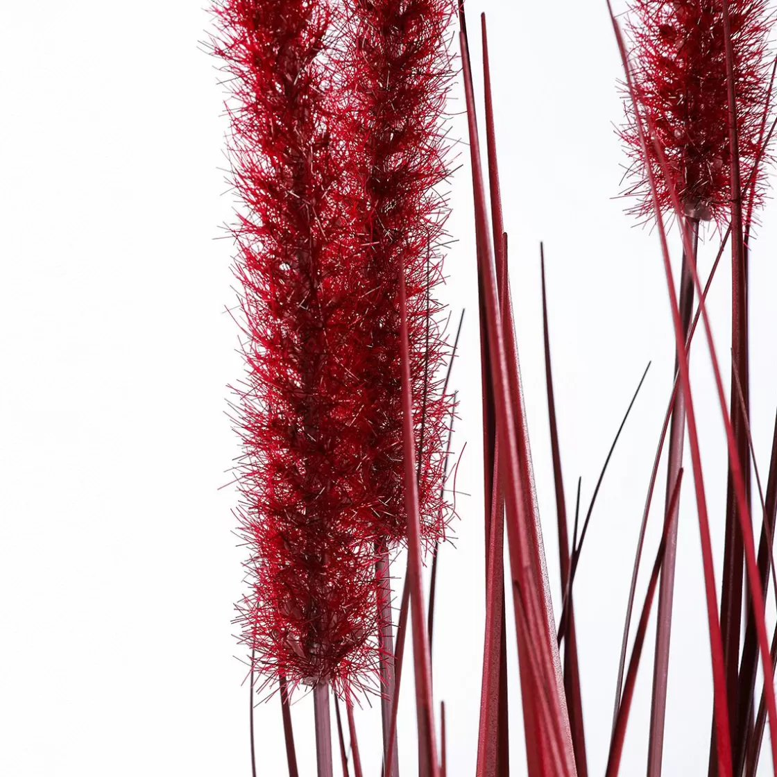 Hierba Decorativa>DecoWoerner Hierba De Caña Artificial En La Maceta Altura 67 Cm rojo