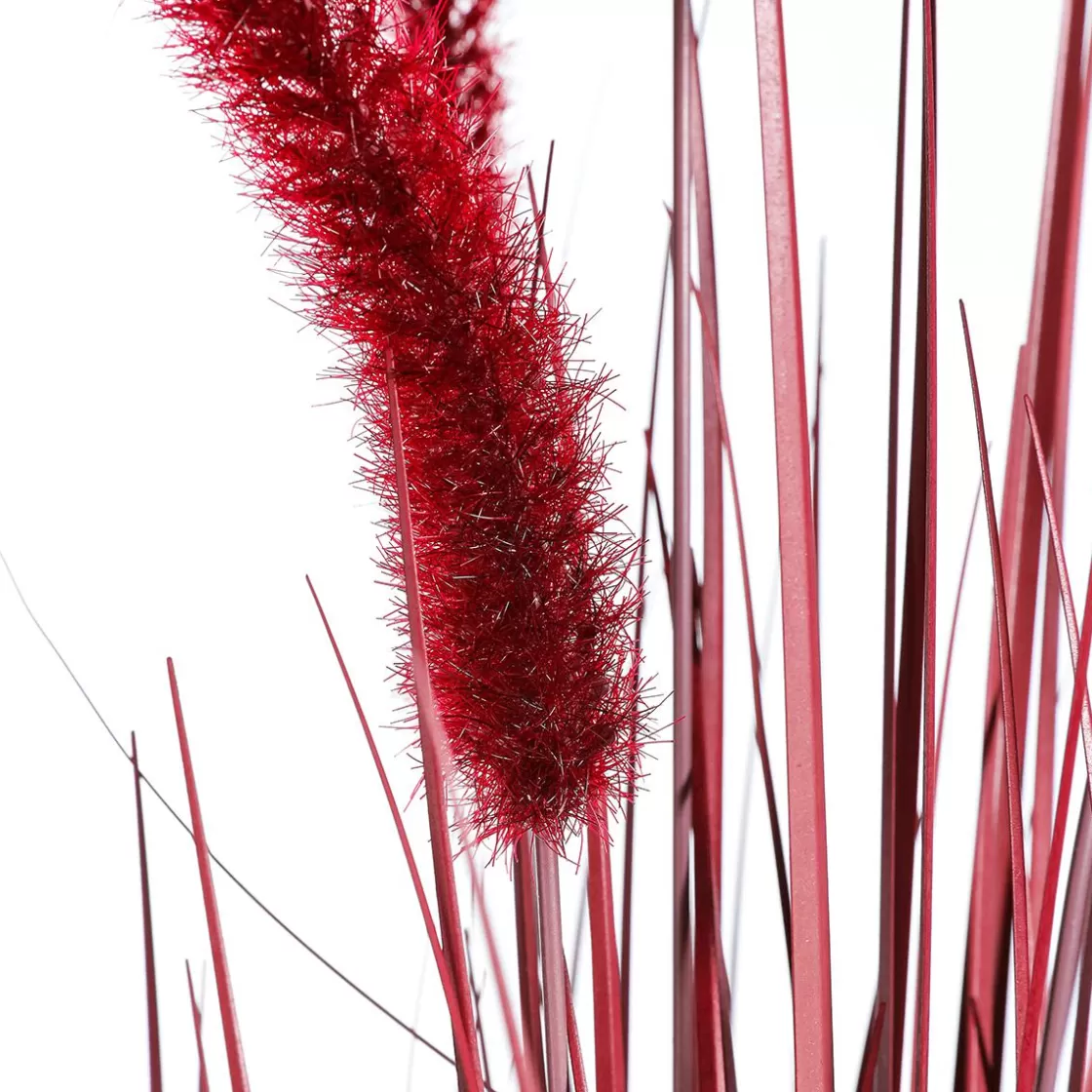 Hierba Decorativa>DecoWoerner Hierba De Caña Artificial En La Maceta Altura 90 Cm rojo