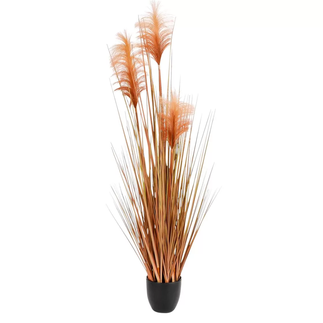 Decoración De Otoño | Decoración De Verano>DecoWoerner Hierba De La Pampa Decorativa De Color En Maceta Negra 117 Cm naranja