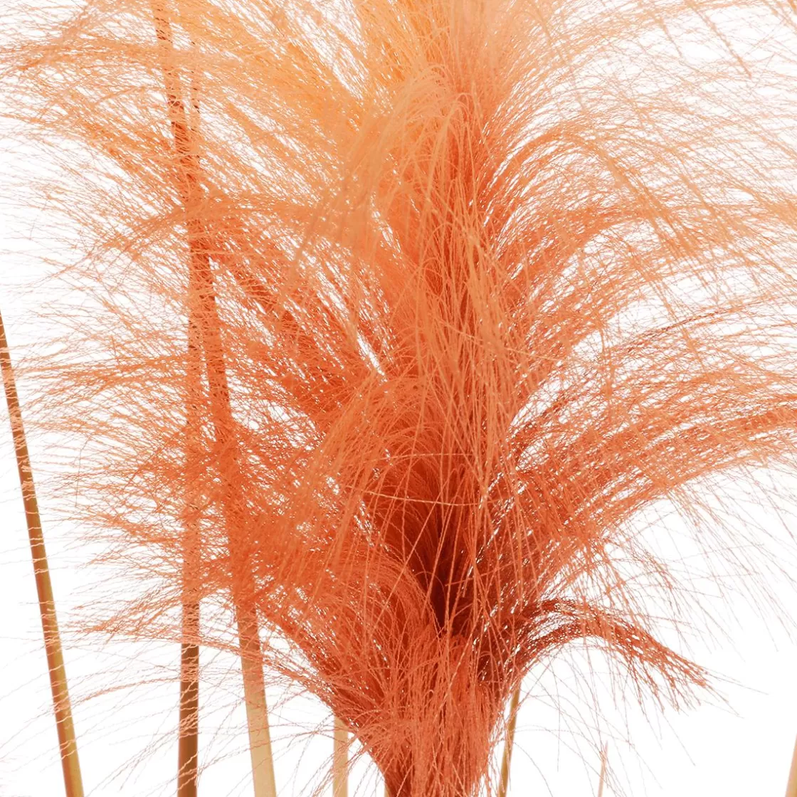Decoración De Otoño | Decoración De Verano>DecoWoerner Hierba De La Pampa Decorativa De Color En Maceta Negra 117 Cm naranja