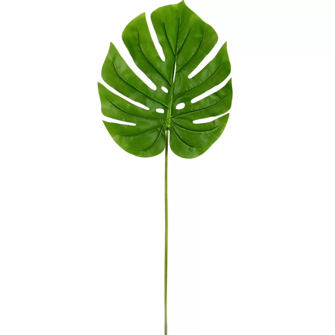 Decoración De Verano | Ramas Y Ramitas>DecoWoerner Hoja Artificial Deco Philo 43 X 95 X 103 Cm verde