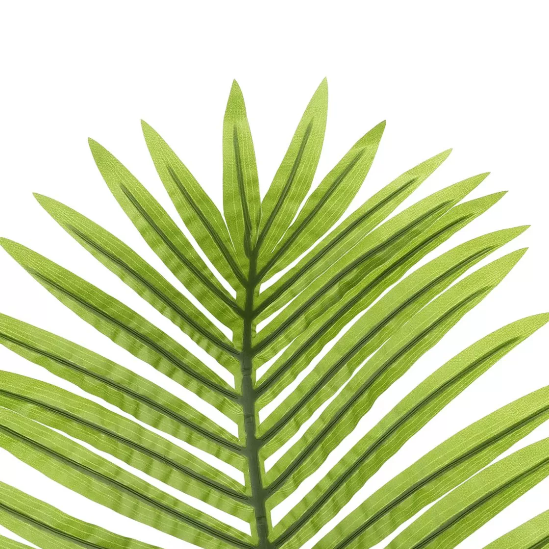 Decoración De Verano | Hojas>DecoWoerner Hoja De Palmera Areca Decorativa, Longitud 115 Cm verde
