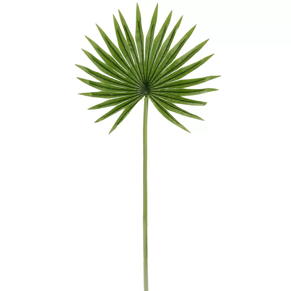 Decoración De Verano | Hojas>DecoWoerner Hoja De Palmera En Abanico Decorativa, Longitud 66 Cm, 2 Piezas verde
