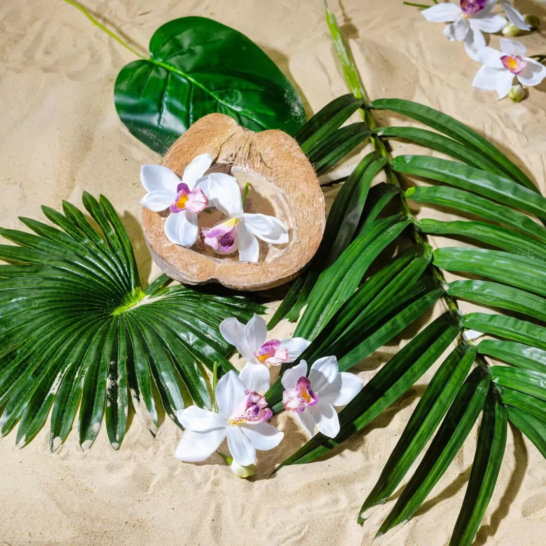 Decoración De Verano | Hojas>DecoWoerner Hoja De Palmera En Abanico Decorativa, Longitud 66 Cm, 2 Piezas verde
