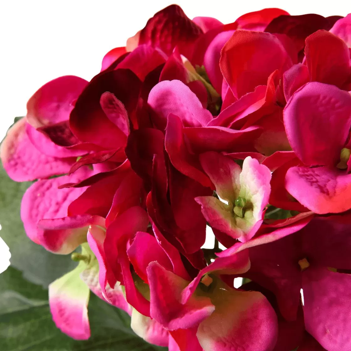 Decoración De Primavera | Flores Artificiales>DecoWoerner Hortensia Artificial Fucsia, 52 Cm rosa