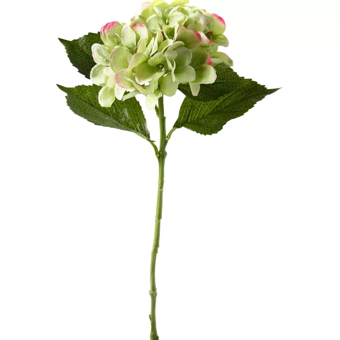 Decoración De Primavera | Flores Artificiales>DecoWoerner Hortensia Artificial , 52 Cm verde