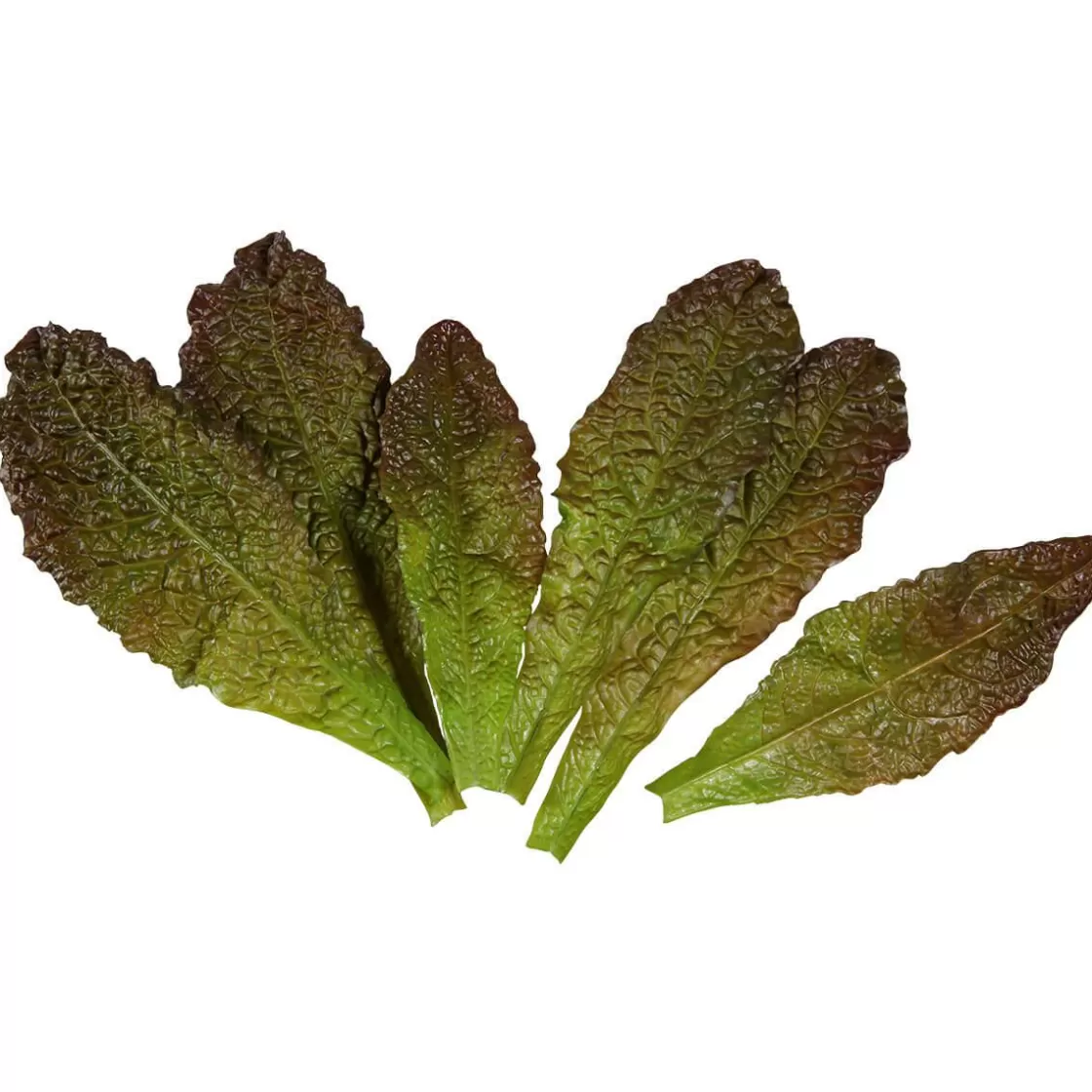 Verduras Y Hierbas>DecoWoerner Imitación De Hojas De Lechuga Romana - Rojo, 6 Piezas verde