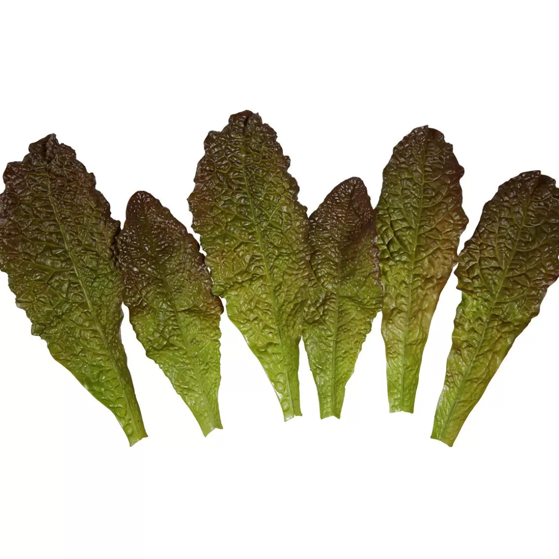 Verduras Y Hierbas>DecoWoerner Imitación De Hojas De Lechuga Romana - Rojo, 6 Piezas verde