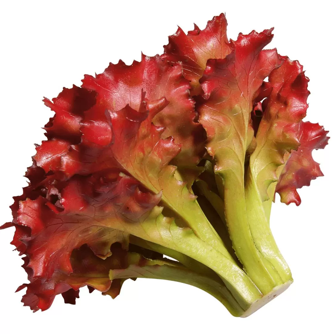 Verduras Y Hierbas>DecoWoerner Imitación De Lechuga Lollo Rosso, Ø 16 Cm rojo